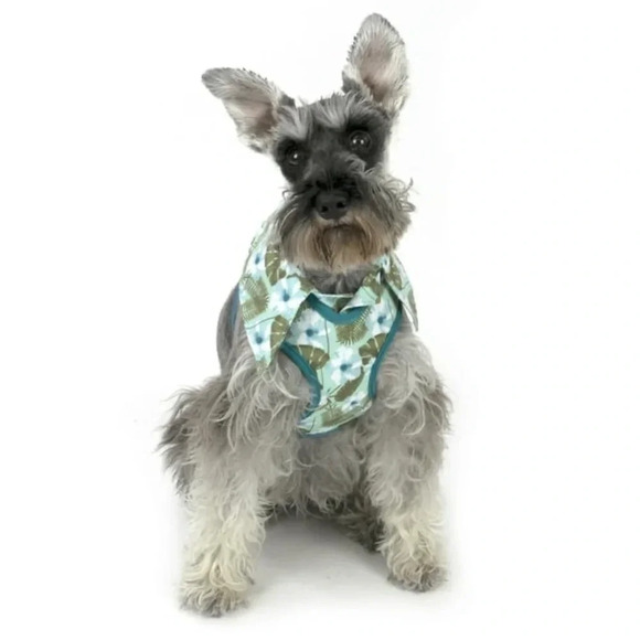 Vibrant Life Hawaiian Shirt Dog Harness, Medium - Picture 1 of 6
